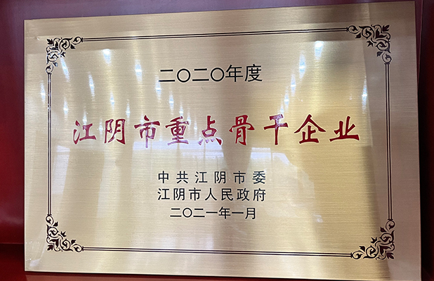 江陰市重點骨干企業